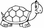 tortuga